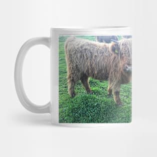 Scottish Highland Cattle Calf 2107 Mug